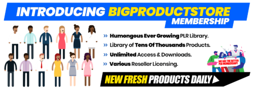 Maximize Profits with BigProductStores Vast Digital Library